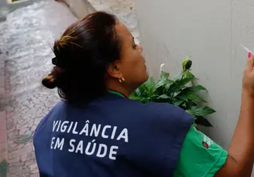 Estado de São Paulo tem sete mortes por dengue em 2024