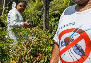 Paraná decreta situação de emergência em saúde por dengue