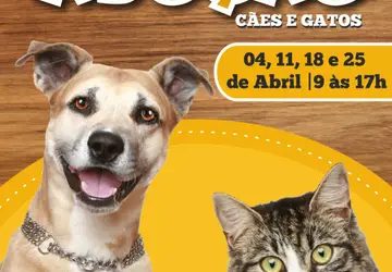 Prefeitura de Araruama vai realizar a Feira de Adoção de cães e gatos no Parque de Exposição Agropecuário